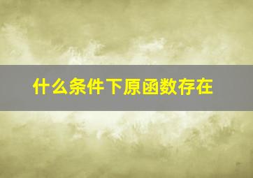 什么条件下原函数存在