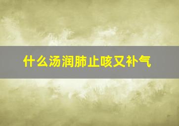 什么汤润肺止咳又补气