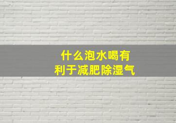 什么泡水喝有利于减肥除湿气