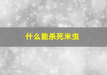 什么能杀死米虫