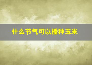 什么节气可以播种玉米