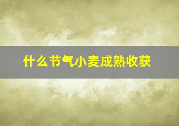 什么节气小麦成熟收获