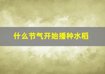 什么节气开始播种水稻