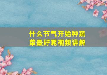 什么节气开始种蔬菜最好呢视频讲解