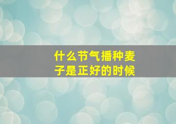 什么节气播种麦子是正好的时候