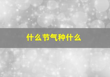 什么节气种什么