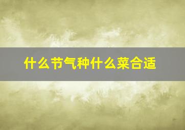 什么节气种什么菜合适