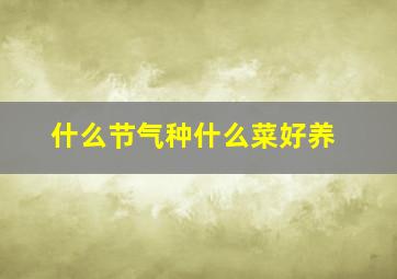 什么节气种什么菜好养