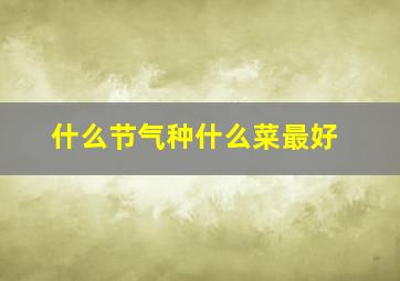 什么节气种什么菜最好