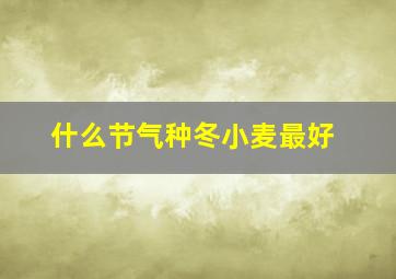 什么节气种冬小麦最好