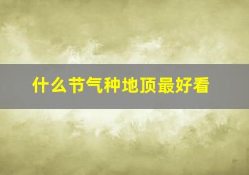 什么节气种地顶最好看