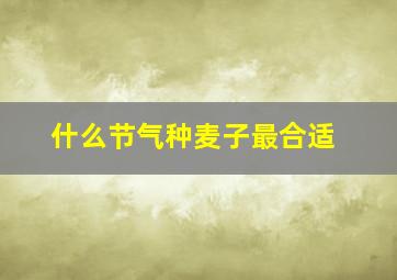 什么节气种麦子最合适