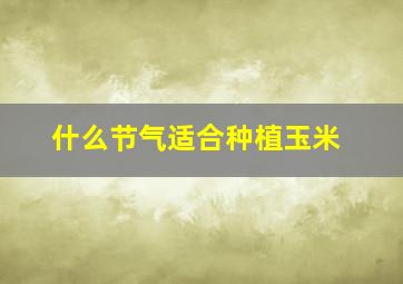 什么节气适合种植玉米