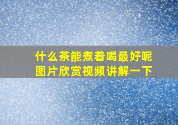 什么茶能煮着喝最好呢图片欣赏视频讲解一下