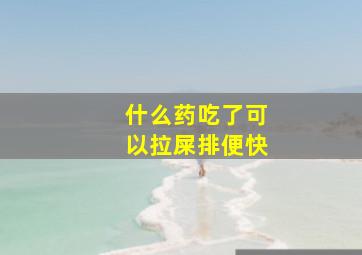 什么药吃了可以拉屎排便快