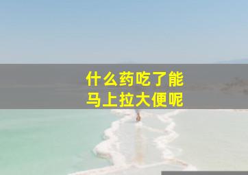 什么药吃了能马上拉大便呢