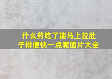 什么药吃了能马上拉肚子排便快一点呢图片大全