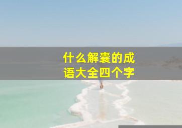 什么解囊的成语大全四个字