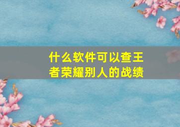 什么软件可以查王者荣耀别人的战绩