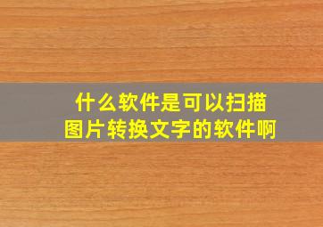 什么软件是可以扫描图片转换文字的软件啊