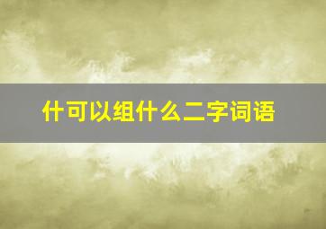 什可以组什么二字词语