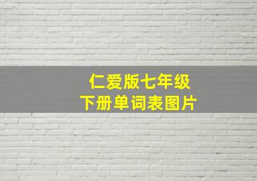 仁爱版七年级下册单词表图片