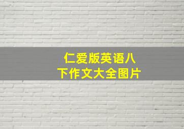 仁爱版英语八下作文大全图片