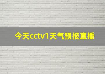 今天cctv1天气预报直播