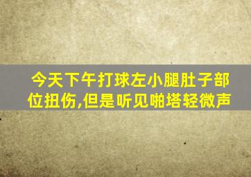 今天下午打球左小腿肚子部位扭伤,但是听见啪塔轻微声