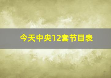 今天中央12套节目表