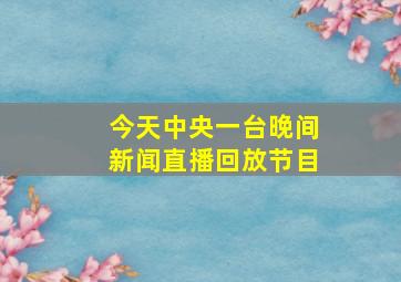 今天中央一台晚间新闻直播回放节目