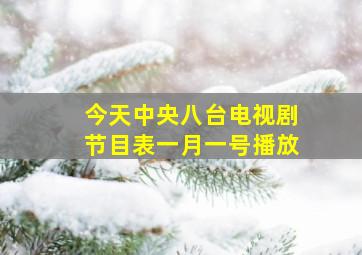 今天中央八台电视剧节目表一月一号播放