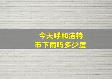 今天呼和浩特市下雨吗多少度