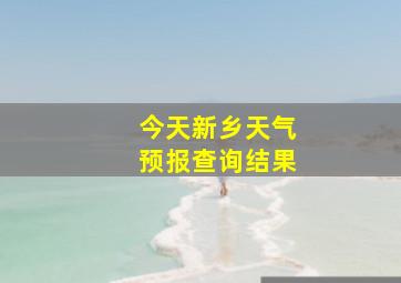 今天新乡天气预报查询结果