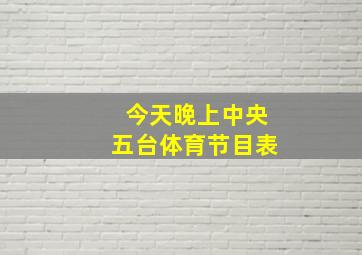 今天晚上中央五台体育节目表