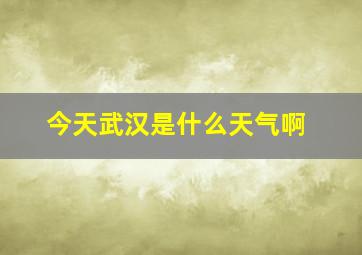 今天武汉是什么天气啊