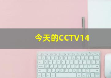 今天的CCTV14