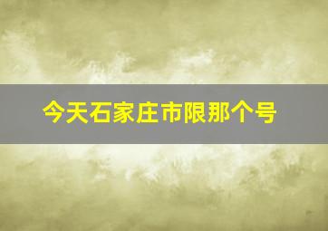 今天石家庄市限那个号