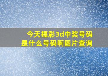 今天福彩3d中奖号码是什么号码啊图片查询