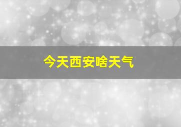 今天西安啥天气