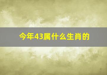 今年43属什么生肖的