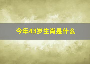 今年43岁生肖是什么