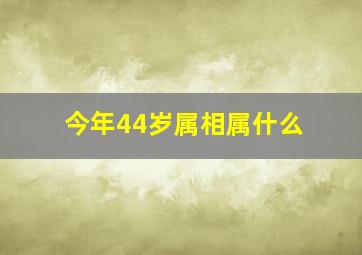 今年44岁属相属什么