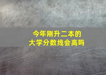 今年刚升二本的大学分数线会高吗