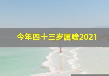 今年四十三岁属啥2021