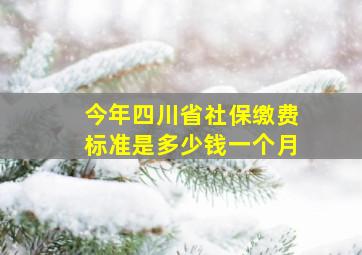 今年四川省社保缴费标准是多少钱一个月