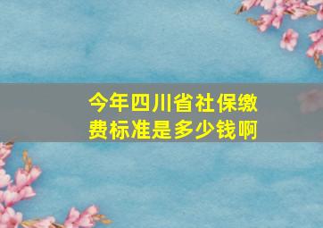 今年四川省社保缴费标准是多少钱啊