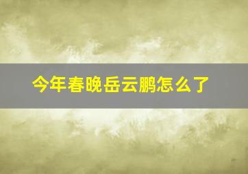 今年春晚岳云鹏怎么了