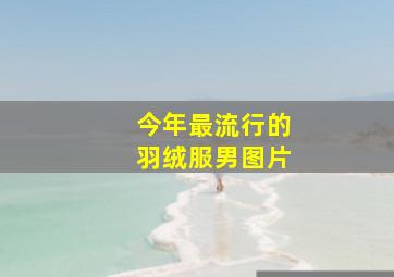 今年最流行的羽绒服男图片