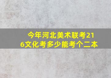 今年河北美术联考216文化考多少能考个二本